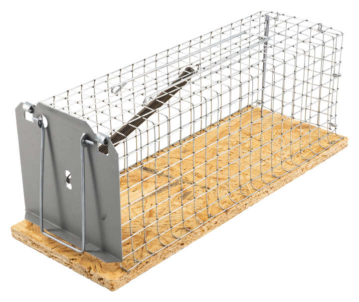 GÄRTNERGLÜCK Ratten-Drahtkastenfalle